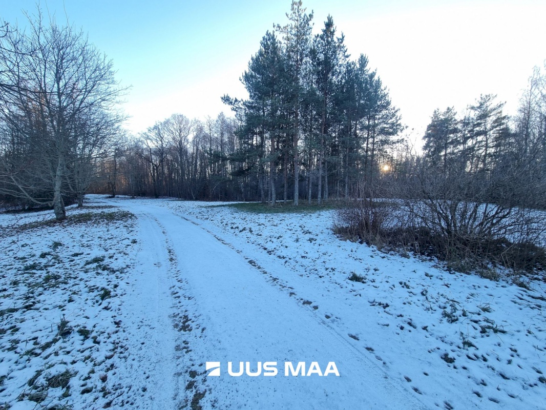 Haljala vald, Andi küla