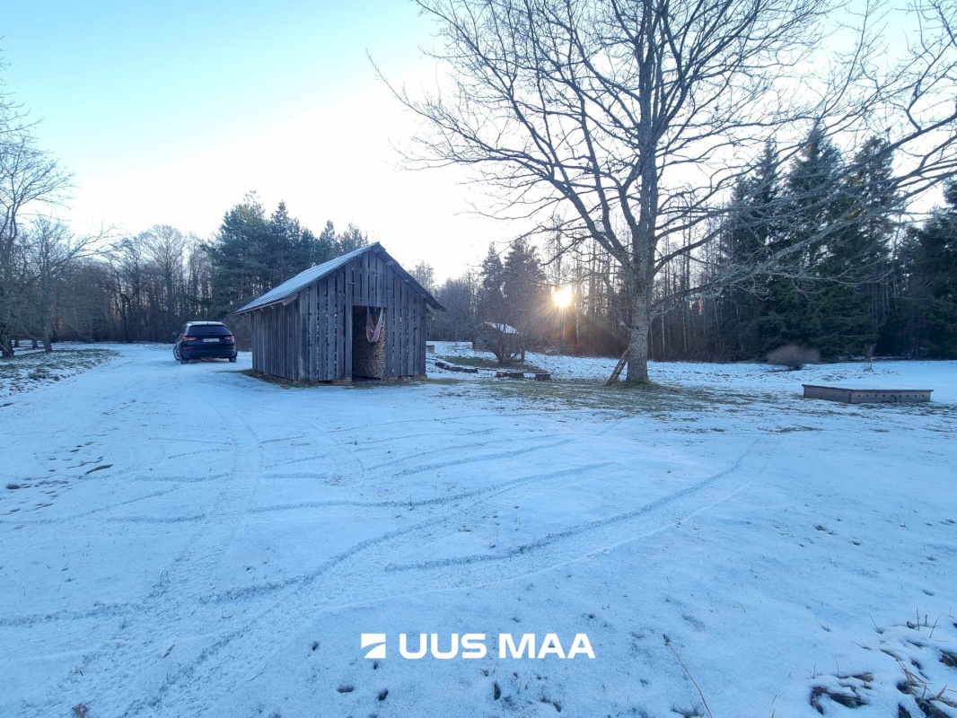 Haljala vald, Andi küla