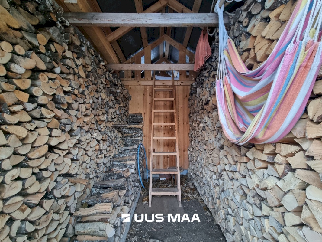 Haljala vald, Andi küla