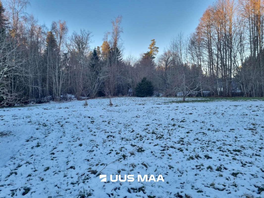 Haljala vald, Andi küla