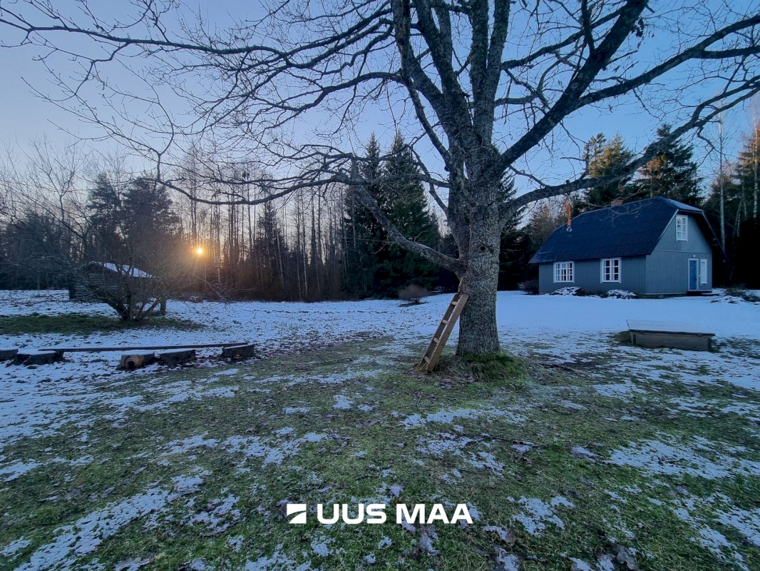 Haljala vald, Andi küla