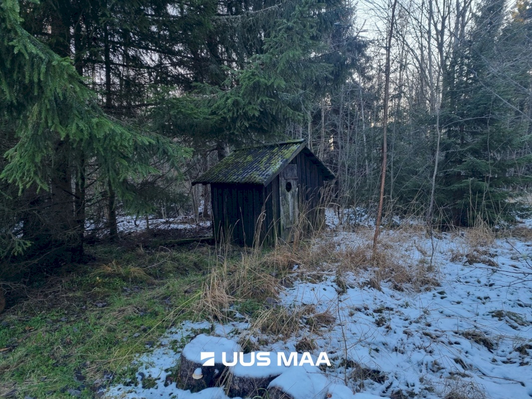 Haljala vald, Andi küla