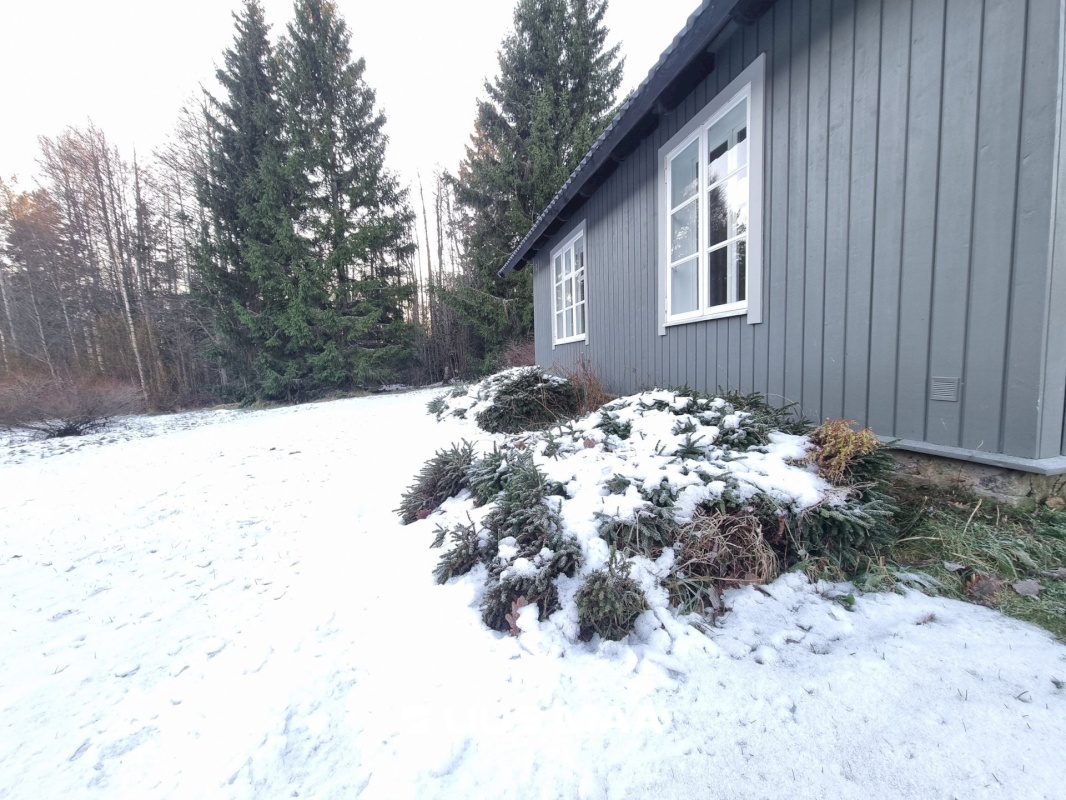 Haljala vald, Andi küla