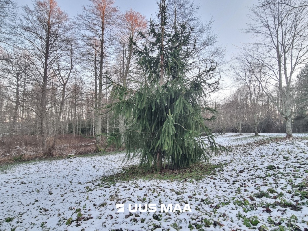 Haljala vald, Andi küla