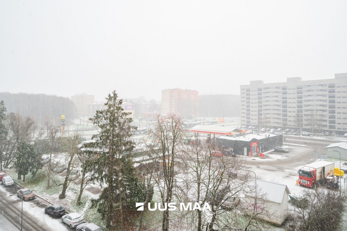 Tallinn, Mustamäe linnaosa, Sipelga 4