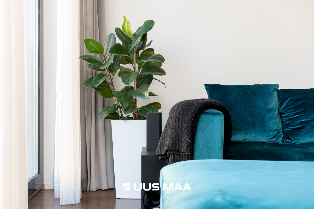 Tallinn, Põhja-Tallinna linnaosa, Tööstuse 47b