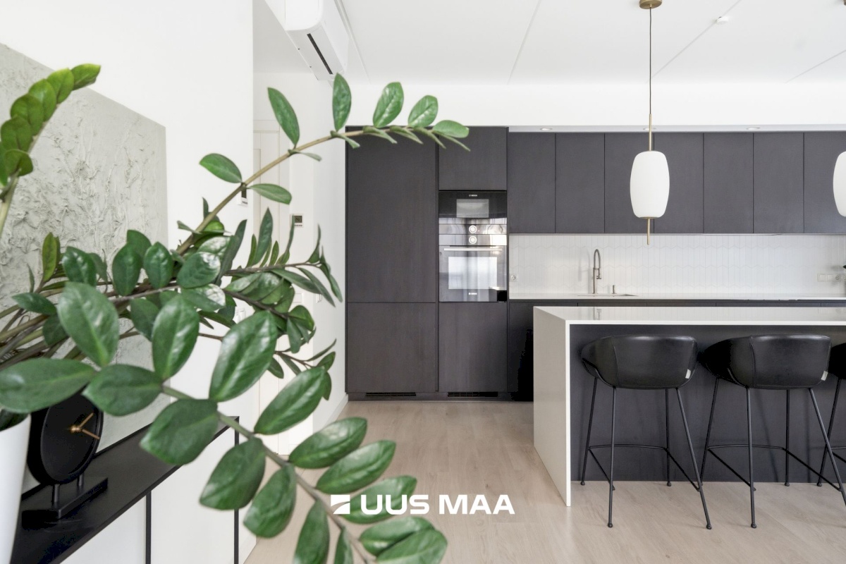 Tallinn, Haabersti linnaosa, Rocca al Mare, Päevalille 2