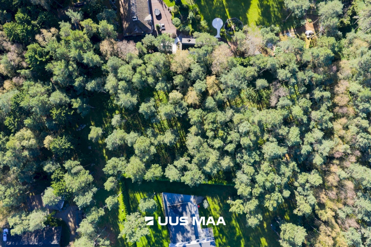 Viimsi vald, Tammneeme küla, Teigari tee 32