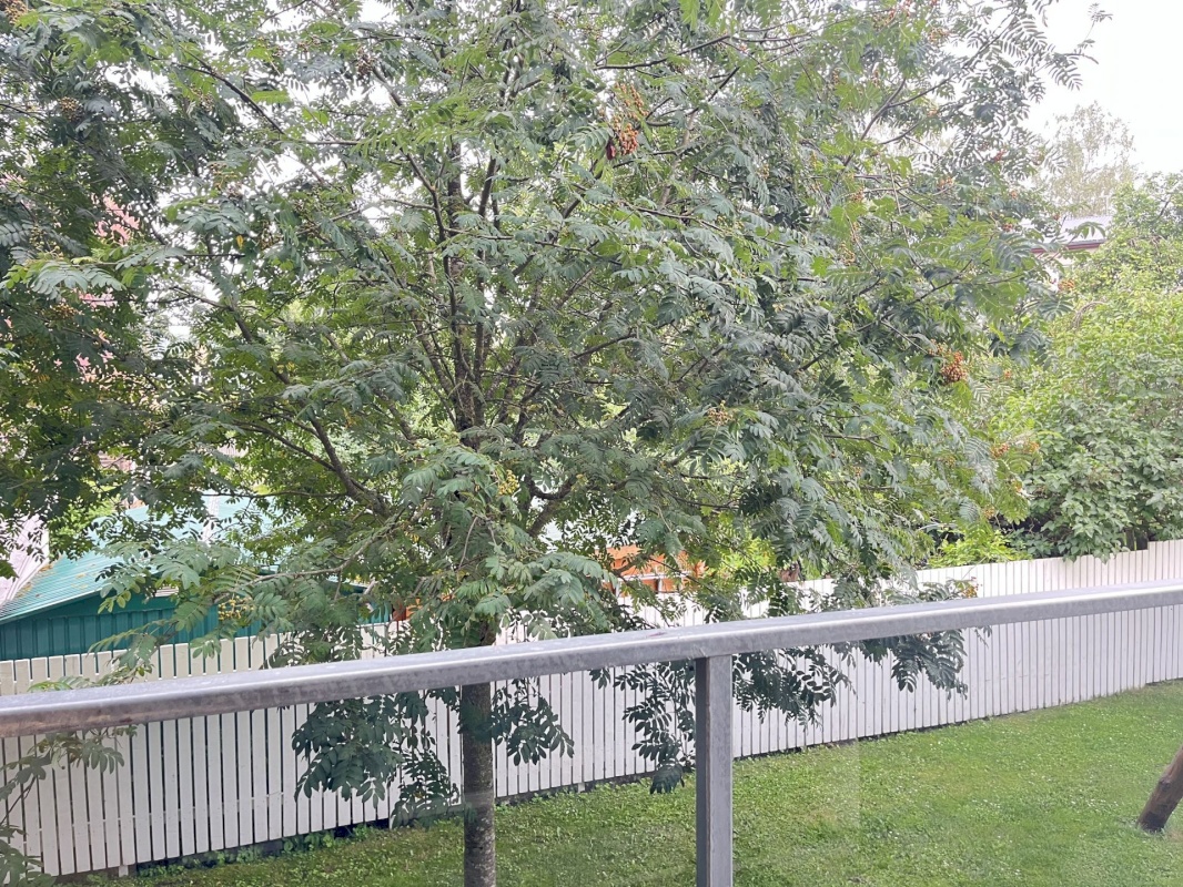 Tallinn, Kristiine linnaosa, Oksa 7