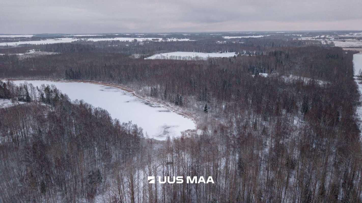 Tartu vald, Kõrveküla alevik