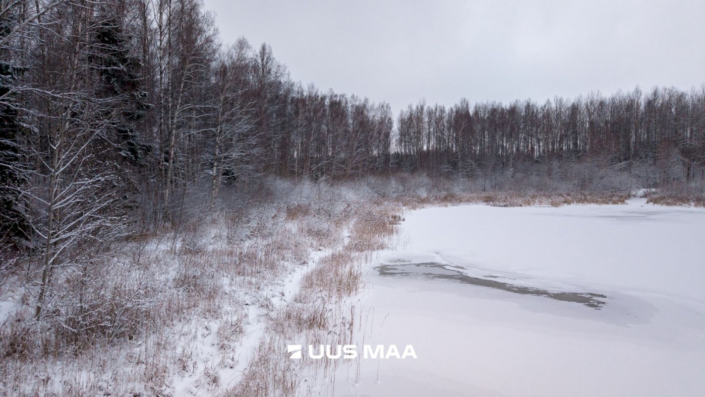 Tartu vald, Kõrveküla alevik