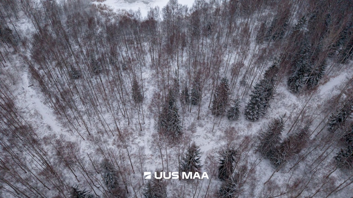 Tartu vald, Kõrveküla alevik