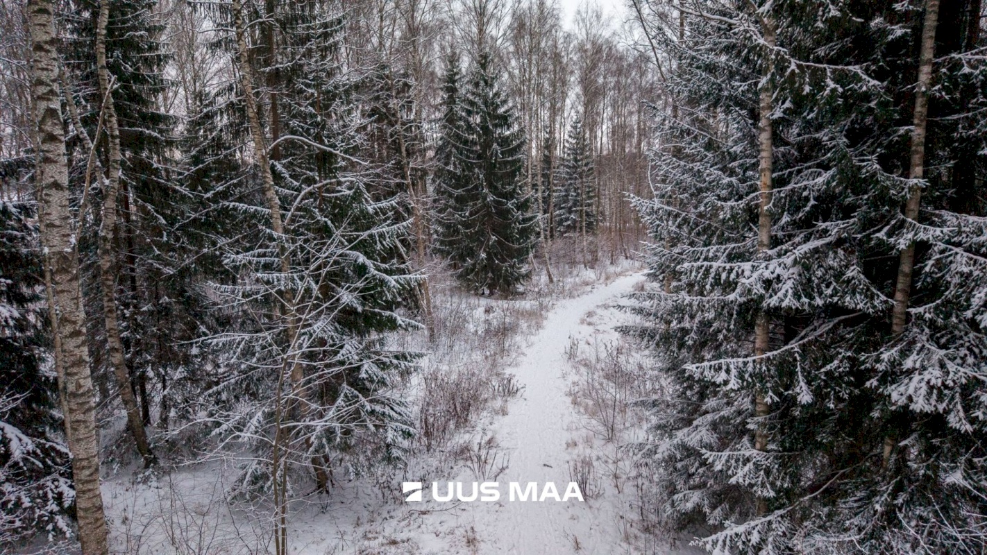 Tartu vald, Kõrveküla alevik