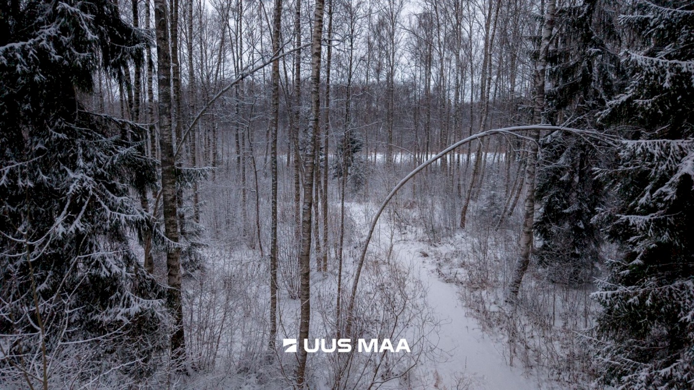 Tartu vald, Kõrveküla alevik