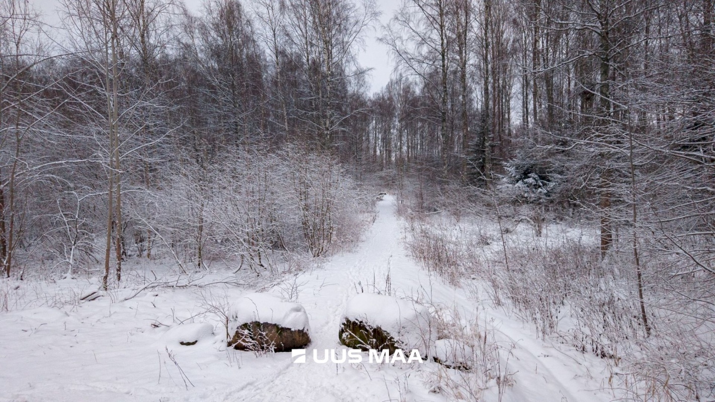Tartu vald, Kõrveküla alevik
