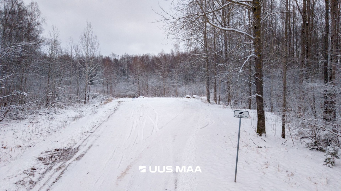 Tartu vald, Kõrveküla alevik