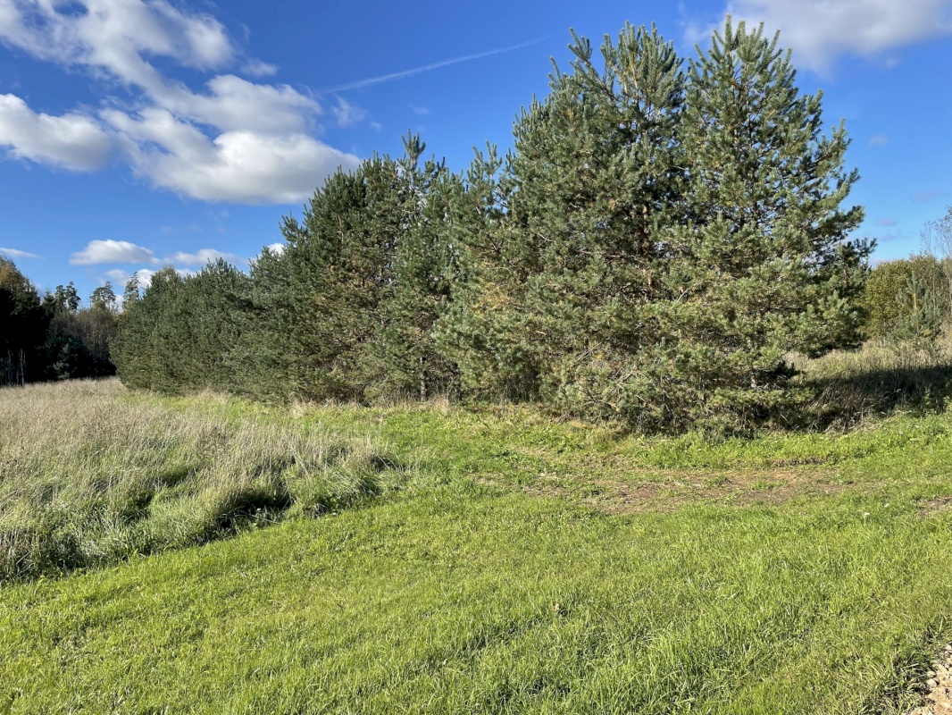 Tõrva vald, Ala küla, Ribuski