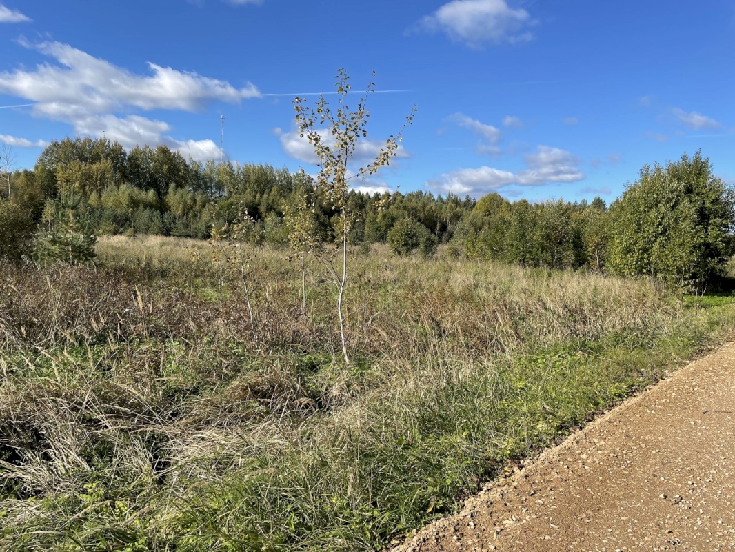 Tõrva vald, Ala küla, Ribuski