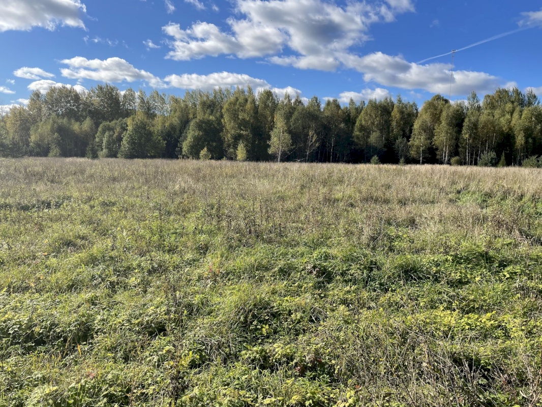 Tõrva vald, Ala küla, Ribuski