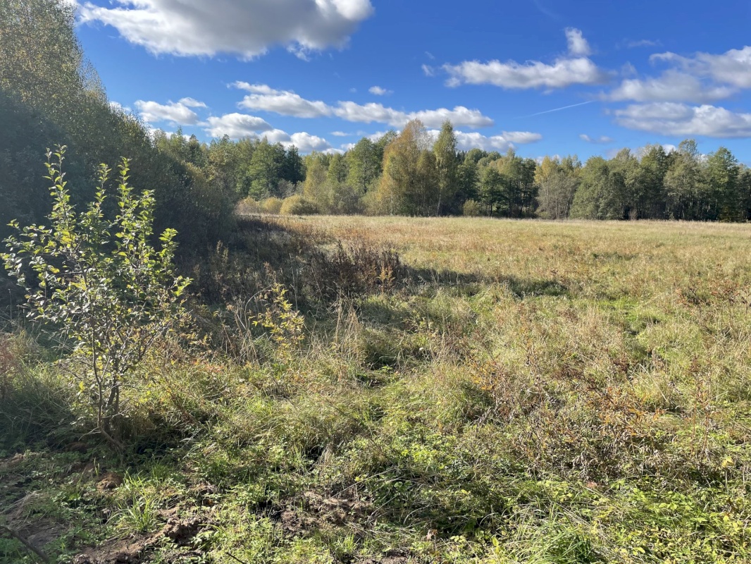 Tõrva vald, Ala küla, Ribuski