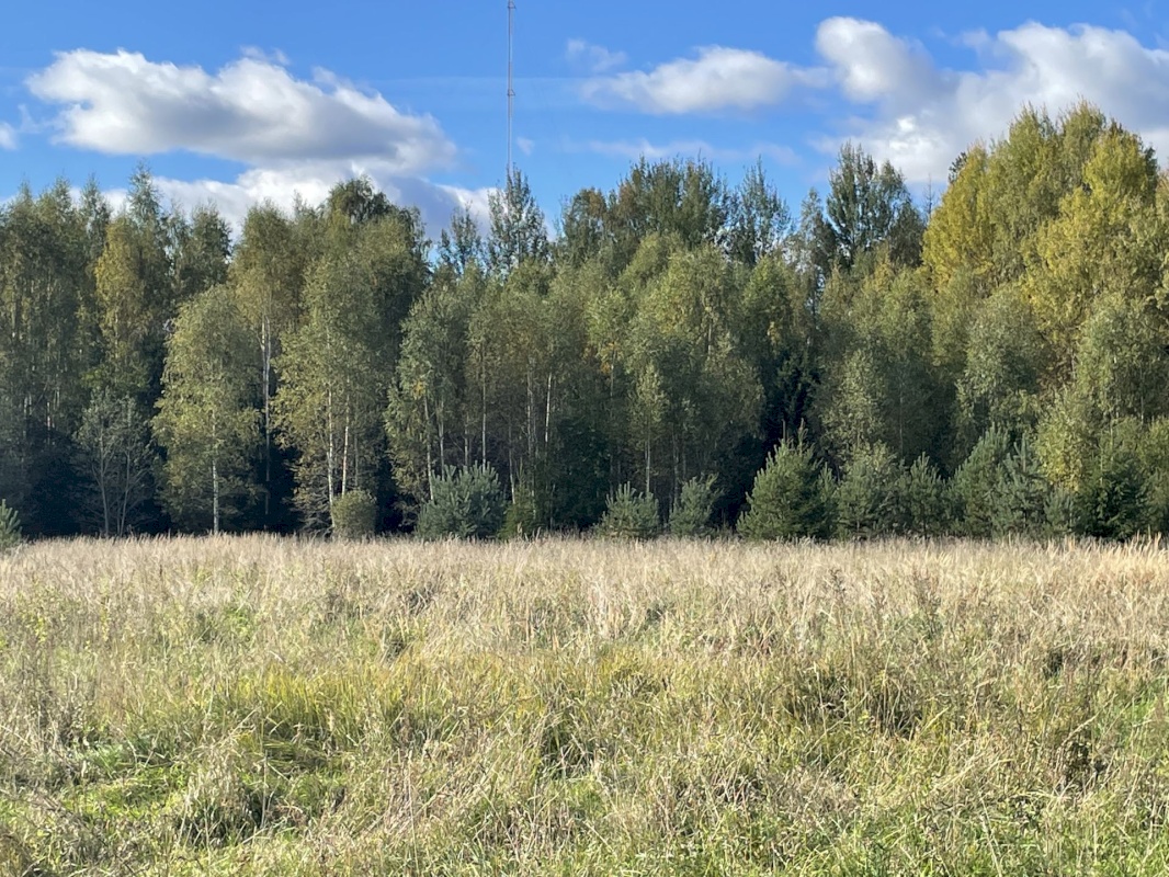 Tõrva vald, Ala küla, Ribuski