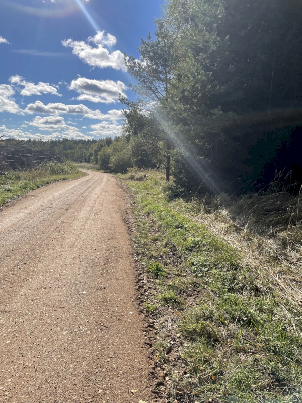 Tõrva vald, Ala küla, Ribuski