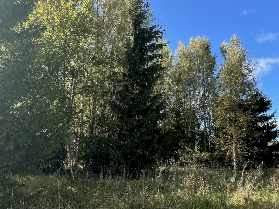 Tõrva vald, Ala küla, Ribuski