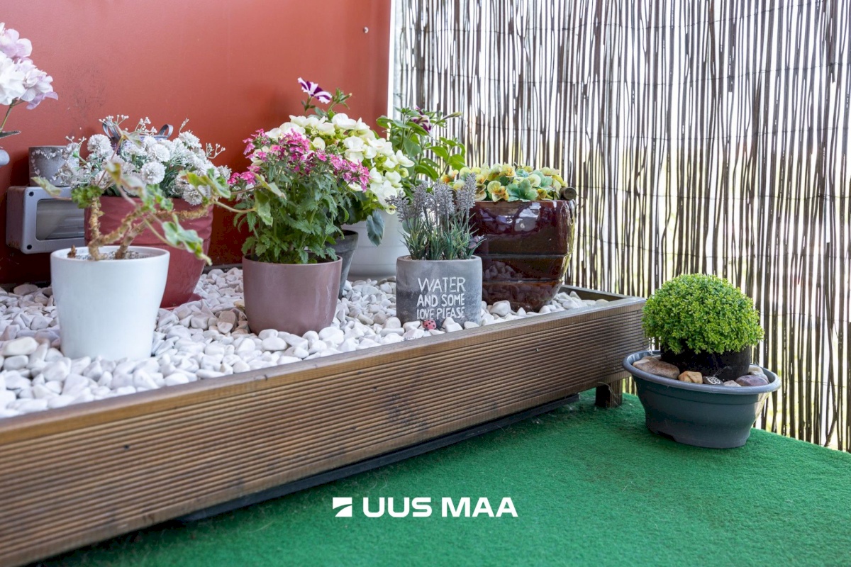 Tallinn, Mustamäe linnaosa, Kadaka, Mäepealse 10