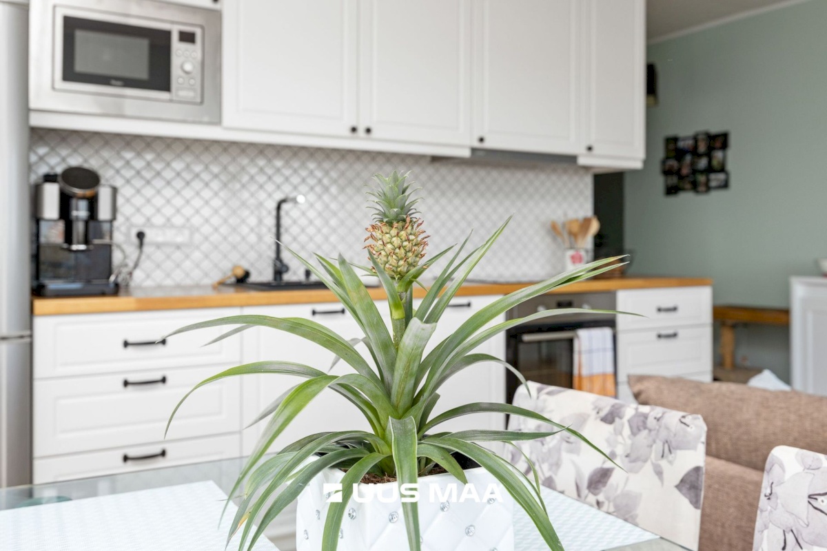 Tallinn, Mustamäe linnaosa, Kadaka, Mäepealse 10