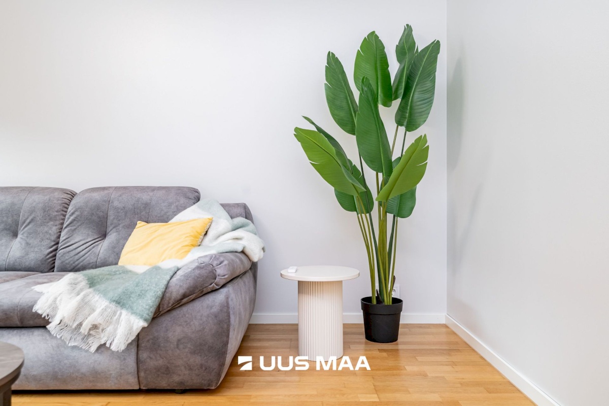 Tallinn, Kesklinna linnaosa, C. R. Jakobsoni 17