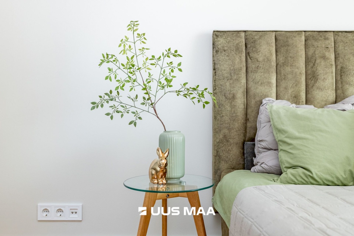 Tallinn, Kesklinna linnaosa, C. R. Jakobsoni 17