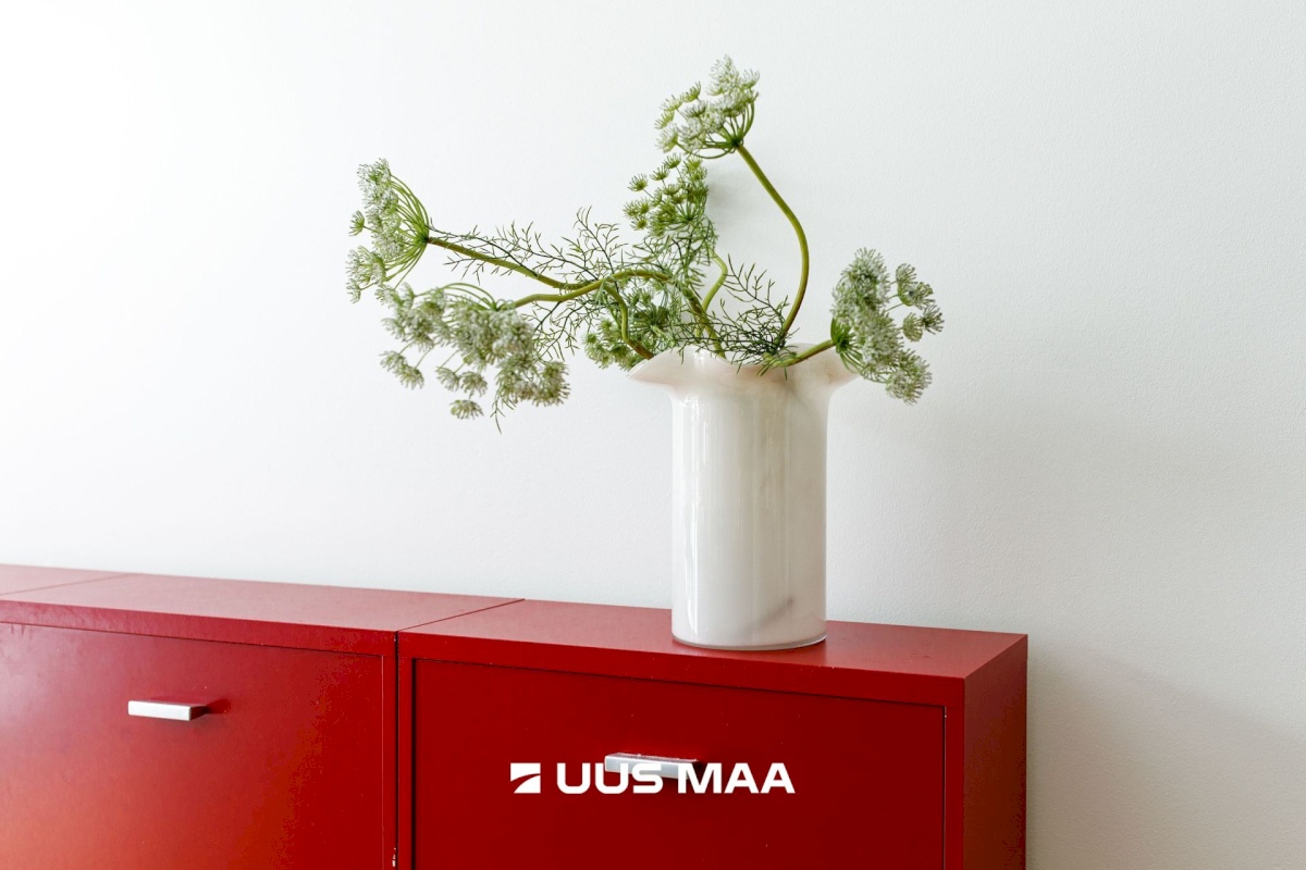 Kiili vald, Kangru alevik, Kullerkupu 9