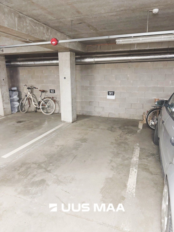 Tallinn, Kesklinna linnaosa, Kadriorg, Liivaoja 1