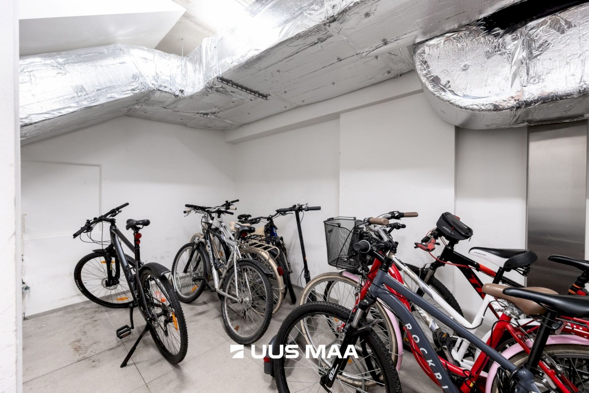 Tallinn, Kesklinna linnaosa, Uus Maailm, Toom-Kuninga 15