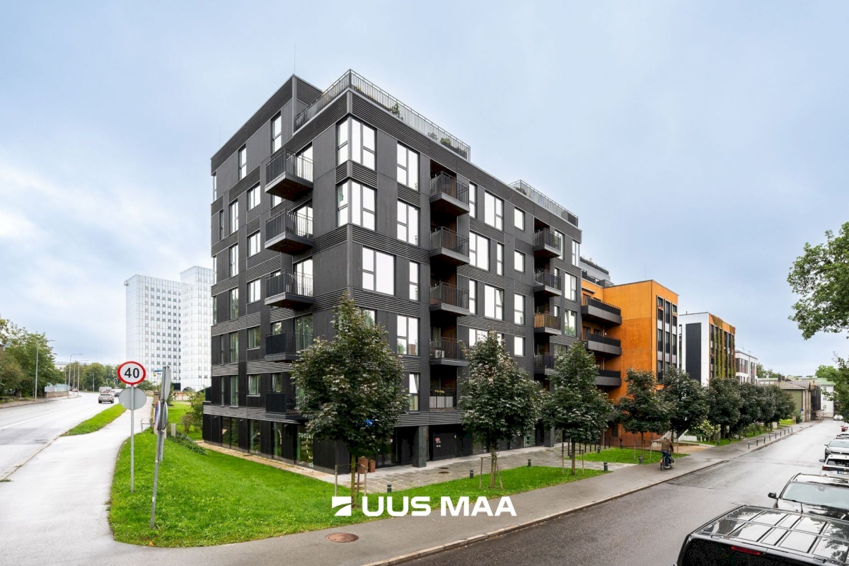 Tallinn, Kesklinna linnaosa, Uus Maailm, Toom-Kuninga 15