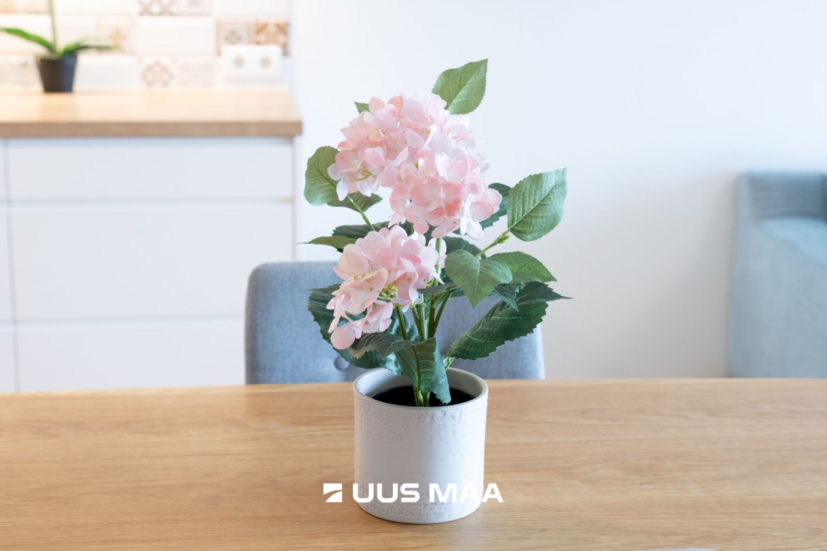 Tallinn, Haabersti linnaosa, rehe põik 1