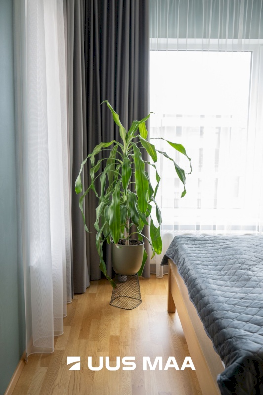 Tallinn, Haabersti linnaosa, rehe põik 1