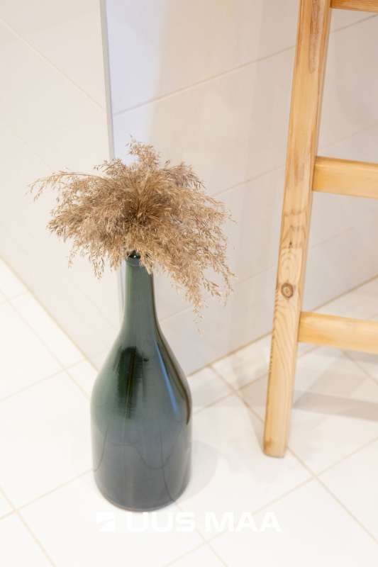 Tallinn, Haabersti linnaosa, rehe põik 1