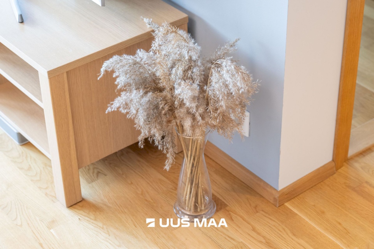 Tallinn, Haabersti linnaosa, rehe põik 1