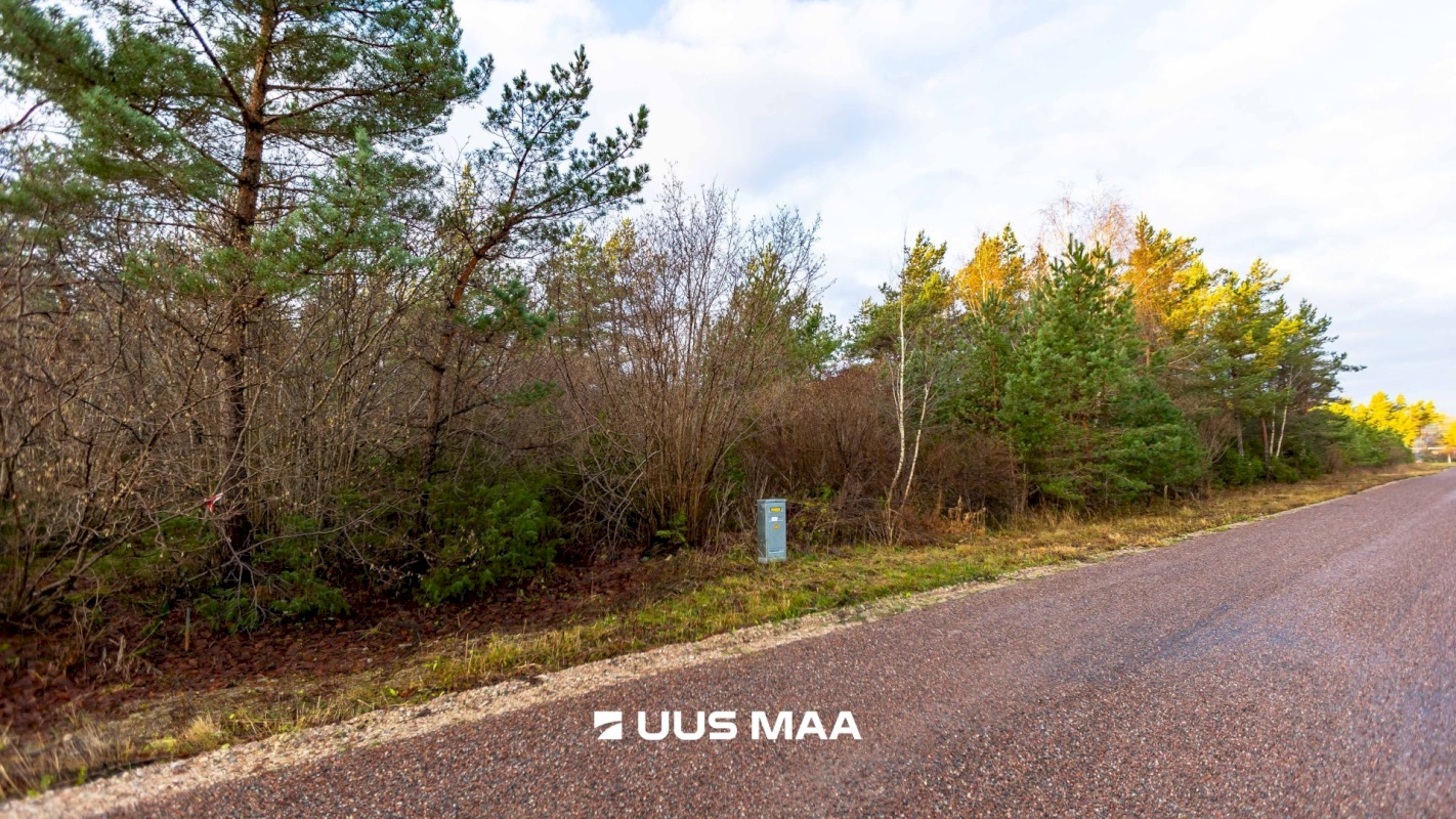 Saaremaa vald, Upa küla, Kaarli tee 10