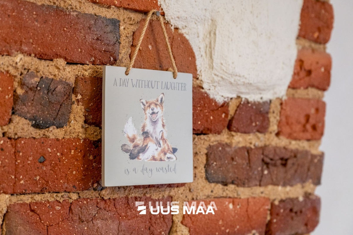 Tartu linn, Tartu linn, Vaksali, A. Haava 7a