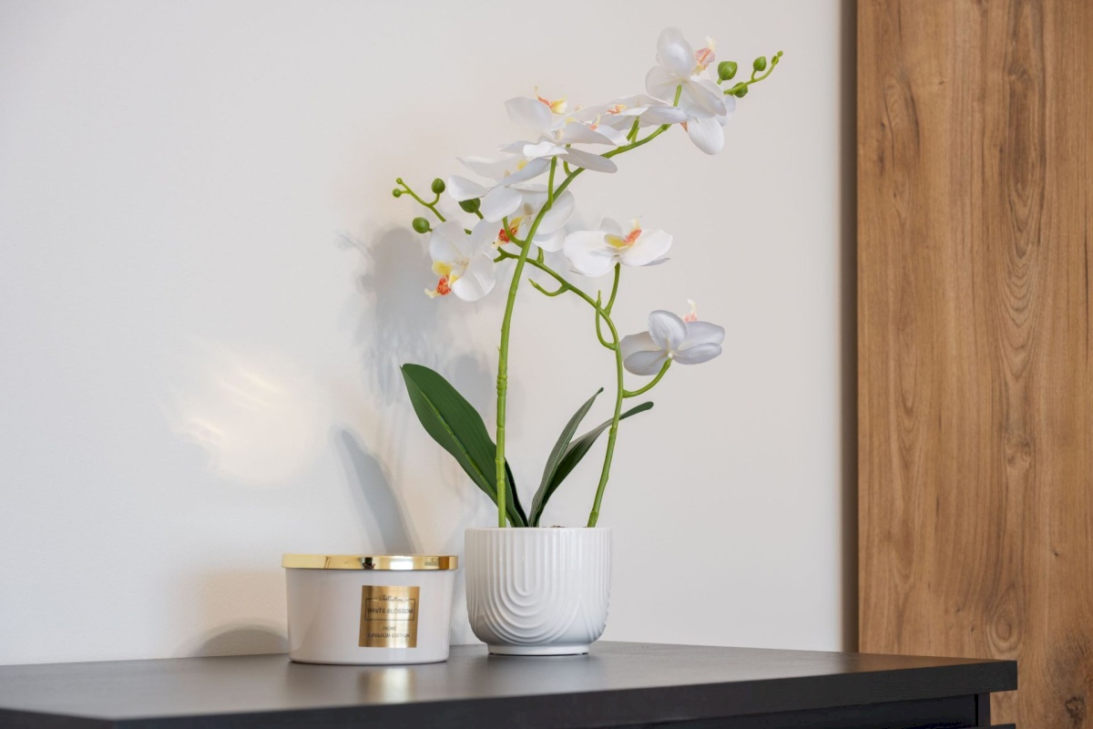 Tallinn, Haabersti linnaosa, Astangu 21