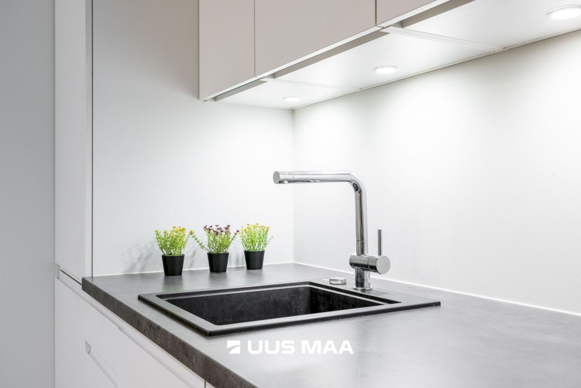 Tallinn, Kesklinna linnaosa, Kadriorg, Raua 63