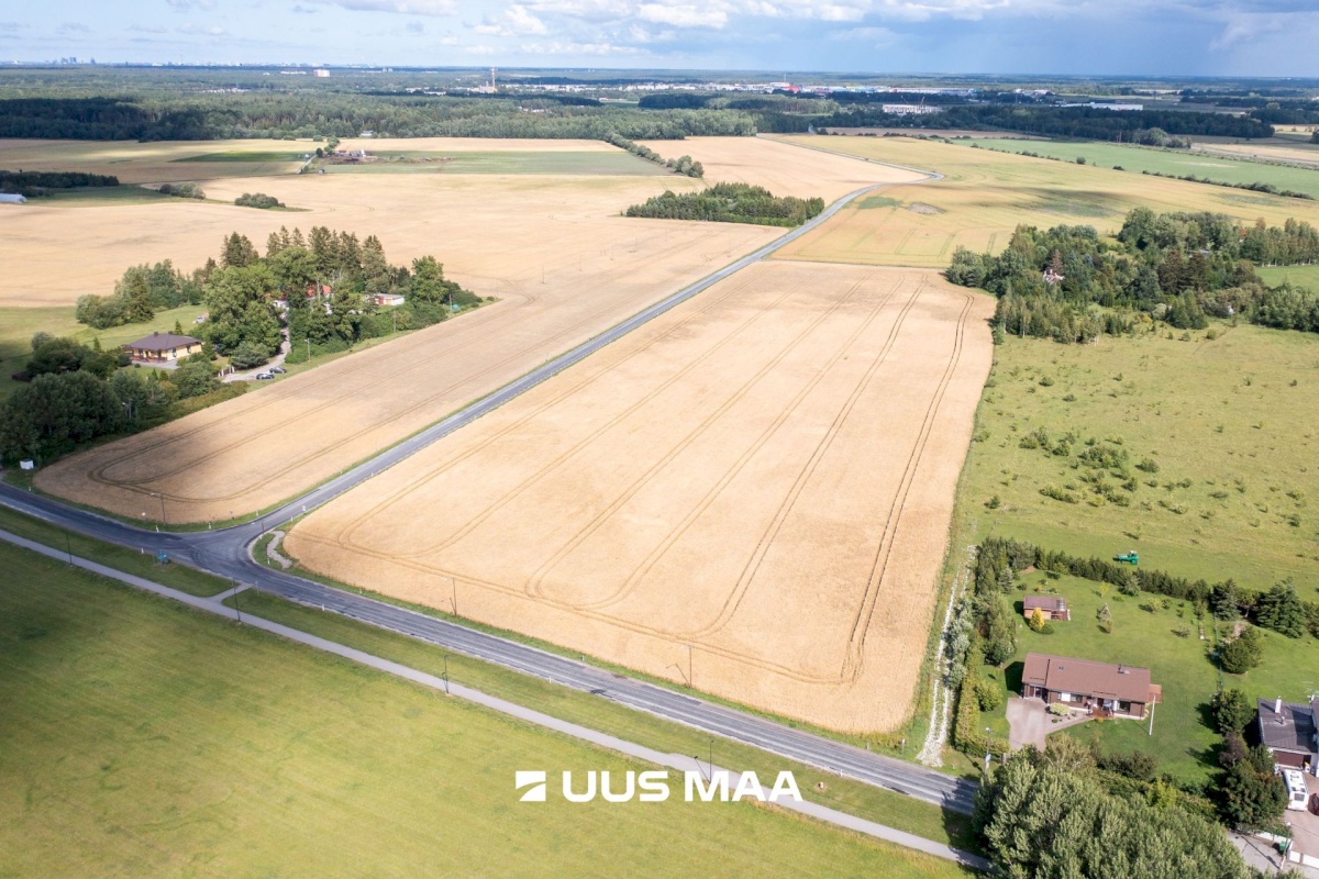 Saue vald, Vanamõisa küla, Suurevälja tee