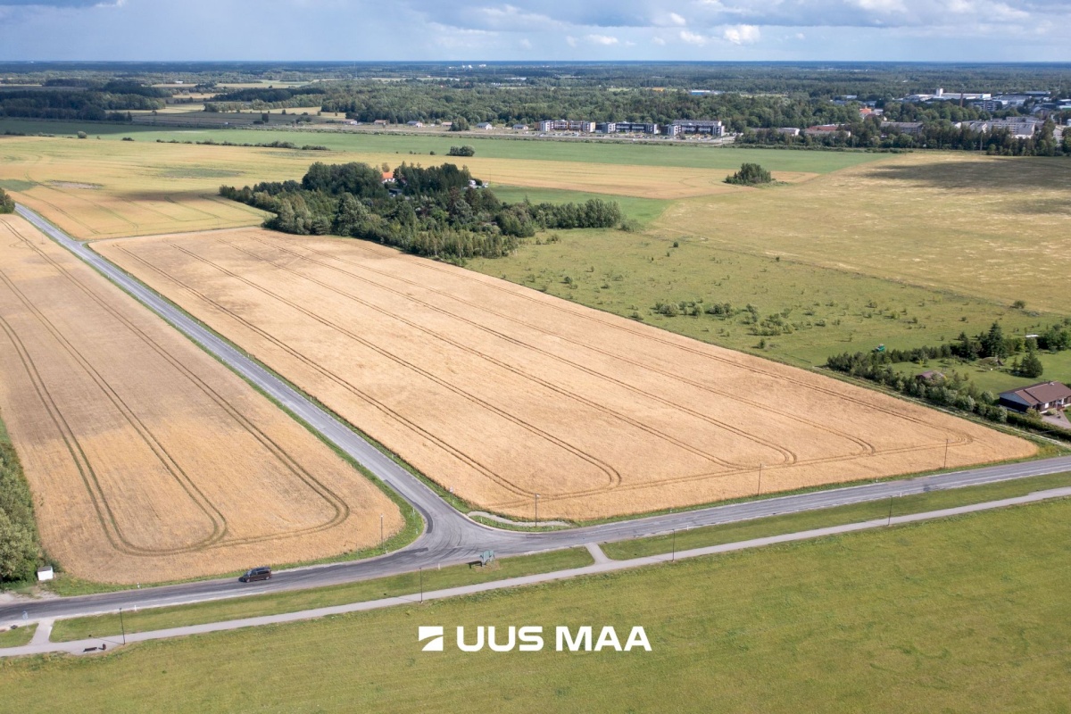 Saue vald, Vanamõisa küla, Suurevälja tee