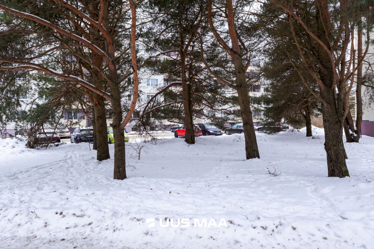 Viimsi vald, Viimsi alevik, Roosi tee 2