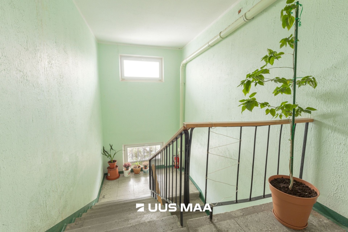 Viimsi vald, Viimsi alevik, Roosi tee 2