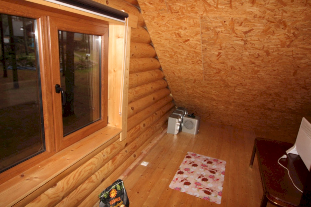 Pärnu linn, Papsaare küla