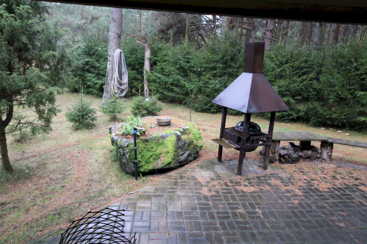 Pärnu linn, Papsaare küla