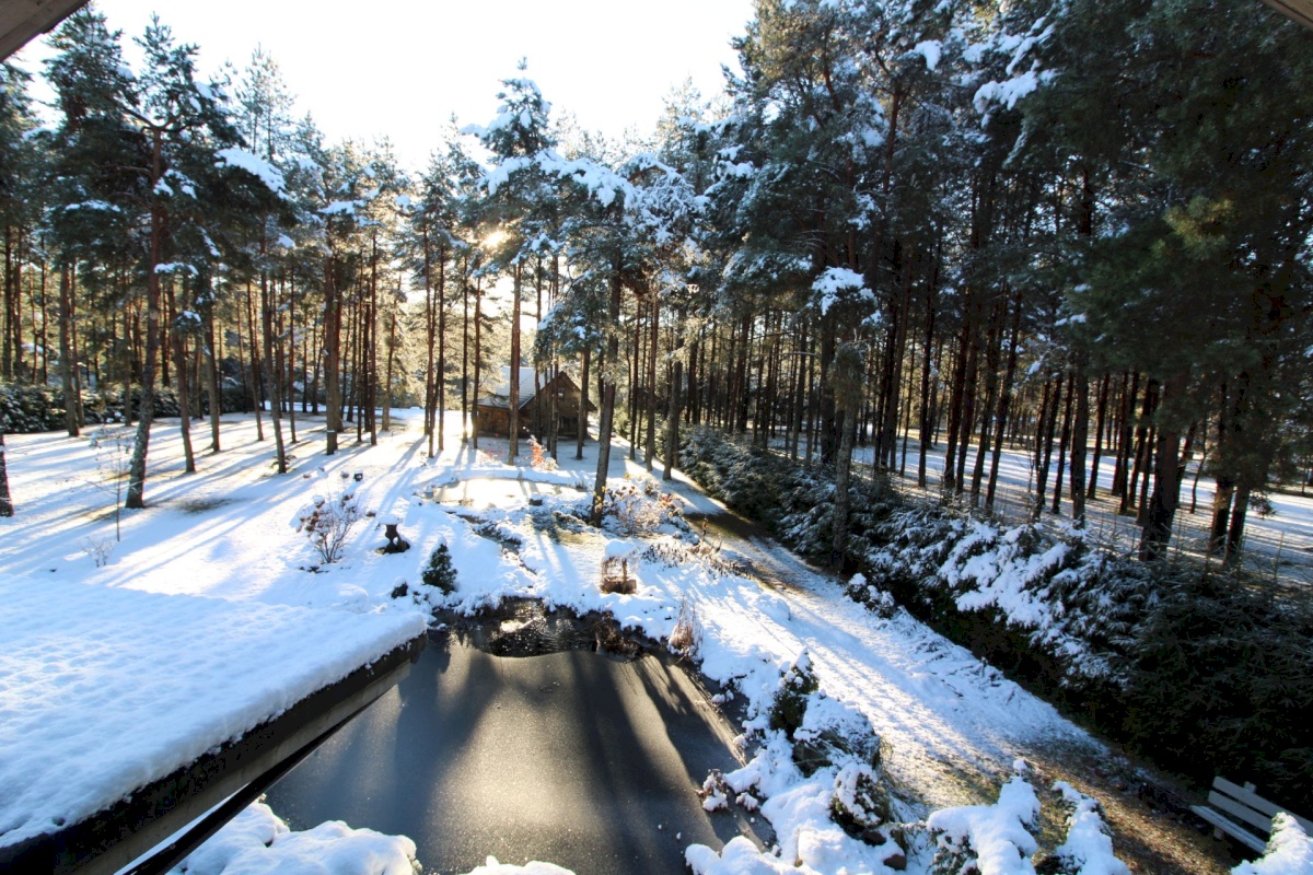 Pärnu linn, Papsaare küla